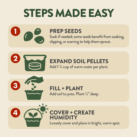 All In One Bonsai Starter Kit For Plant Lovers Grow Four Bonsai Trees At Home With Four Pots Soil Pellets Markers Seed Packets And A Full Tool Set steps guide