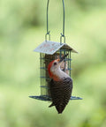 Rustic Black Metal Suet Cage Feeder For Outdoor Bird Watching, Hanging Bird Feeder With One Suet Cake Capacity in use.