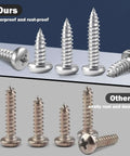 Comparison of Go-To Assorted Self Tapping Screws Kit For Wood And Drywall With 100 Pcs Of 304 Stainless Steel and rusted alternatives