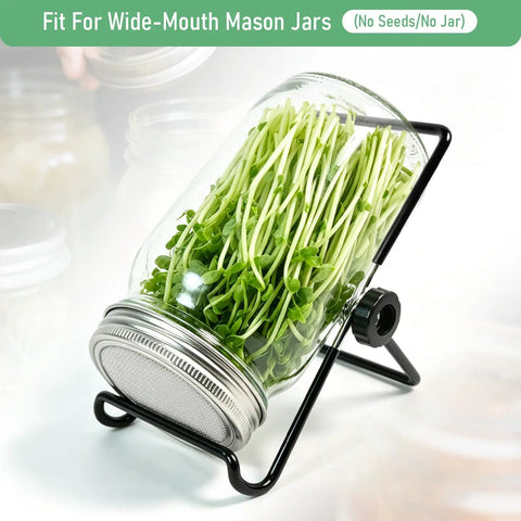 Straight Up Premium 304 Stainless Steel Sprouting Lid For Mason Jars with bean sprouts in a wide-mouth jar and stand.