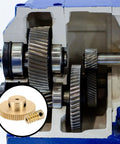 Brass Worm Gear Set 60T 0.5 Module 60 To 1 Reduction Right Rotation Drive Gear Box Wheel Transmission Part With Brass Gear 3mm Bore And Brass Rod 2mm Bore Heavy Duty Precision Gear Assembly, cutaway view