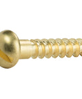 No Nonsense Brass Wood Screws Slotted Round Heads Size Two Deep Coarse Threads For Diy Woodworking And Shop Repair Dead On Hardware Collection Foolproof strong grip, showing a single brass screw with deep coarse threads.