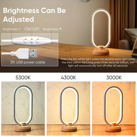 Modern Ellipse LED Desk Lamp With Wood Accent, showing dimmable warm white light settings and USB power cable
