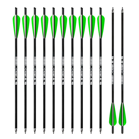 20 Inch Carbon Crossbow Bolts With 4 Inch Vanes Pack Of 12 Pro Grade Precision For Hunting And Target Practice Enhanced Shooting Consistency
