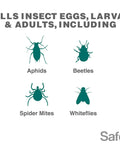Image showing pests killed by All In One Neem Oil Concentrate Garden Spray For Plants Insecticide Miticide And Fungicide 16 Oz