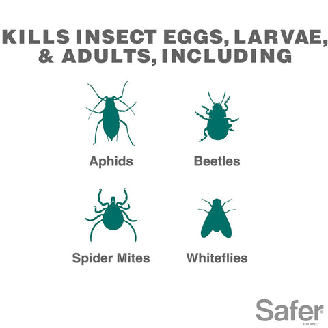 Image showing pests killed by All In One Neem Oil Concentrate Garden Spray For Plants Insecticide Miticide And Fungicide 16 Oz