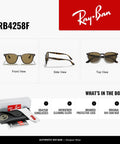 RB4258F Square Sunglasses With Light Havana Frame And Brown B15 Lenses 52mm For Men And Women with accessories and packaging