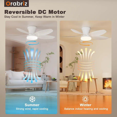 35 Inch Flush Mount Ceiling Fan With Led Light And Remote Control in summer and winter modes showcasing airflow patterns.