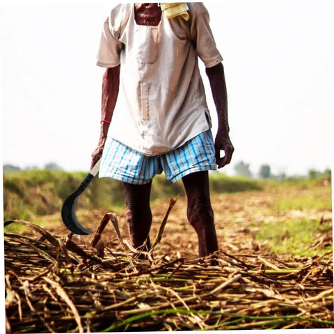 Person using Long Handle Manganese Steel Scythe for gardening in a field, ergonomic grip, one hand use.