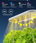 12 Pod Hydroponics Indoor Garden System With LED Grow Light simulating sunlight over lush green lettuce