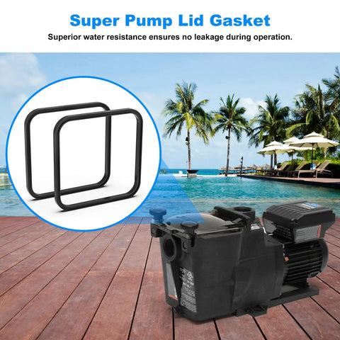 Hayward Pool Pump Gasket Replacement O177 And Lid Gasket Set For Super Pump Models SPX1600S SP1600X SP2600 SP2600X SP2600VSP SP2602VSP SP2603VSP SP26115VSP SP2670010VSP SP2670020VSP Includes 2 Pack The Right Stuff For Your Pool
