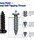 Premium M2 M3 M4 Phillips Pan Head Self Tapping Screws Tough As Nails Carbon Steel Fastener Kit with sharp point and deep threads.