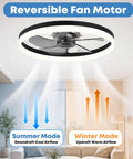 Smooth Breeze 20 Inch Ceiling Fan With Light And Remote Low Profile Flush Mount Dimmable Fandelier showing reversible motor and airflow directions.