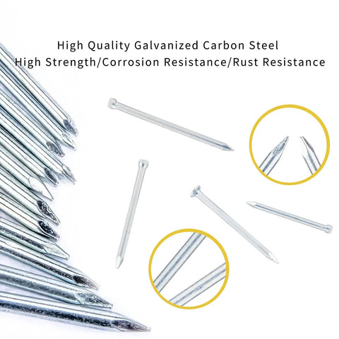 Close-up of 1080 Piece Nail Assortment Kit With 7 Common Sizes Carbon Steel Zinc Plated Finishing Nails Wall Nails And Picture Nails