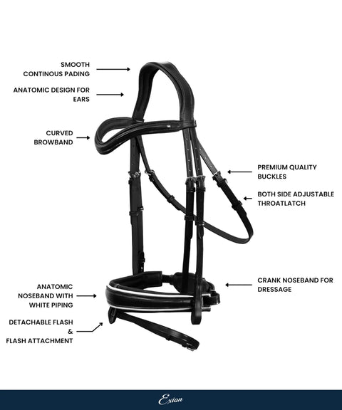 Dressage Bridle With White Piping Top Notch Padded Leather English Bridle Detachable Flash And Web Reins Comfort Fit Side View