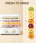 Big Time 6 Tray Food Dehydrator For Home With Clear Racks And Digital Temperature Timer Controls To Knock Out Homemade Jerky Dried Fruit Veggies And Dog Treats Quick As Can Be with stacked fruit.