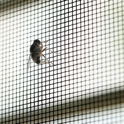 Close-up of a fly on stainless steel air vent mesh screen sheet 30x120cm wire mesh roll 30 mesh for vents cover air brick garden heavy duty.