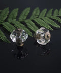 Clear Acrylic Pumpkin Cabinet Knobs Set Of 20 Vintage Decorative Pulls with fern background on reflective surface.
