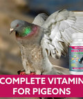 Pigeon with bottle of Complete Multivitamin For Pigeons 100 Tablet Supplement With Vitamins Minerals And Amino Acids for health support