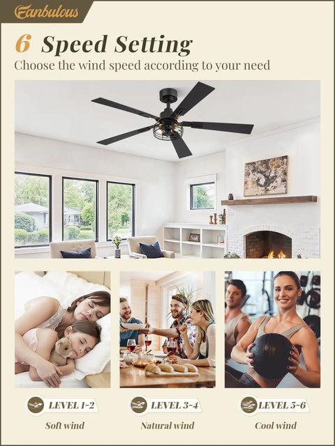 Two Pack Go To Farmhouse Style 48 Inch Ceiling Fans With Lights, Industrial Caged Design in living room, speed settings illustration