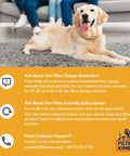 Golden retriever on rug with Filter King HVAC mailer; promotes filter change reminders and subscription services.