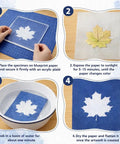 Step-by-step guide using Dope Sun Print Cyanotype Kit With 30 Sheets Of Paper And Acrylic Panel For Nature Crafts, DIY Projects.