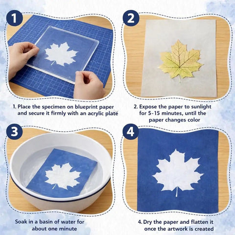 Step-by-step guide using Dope Sun Print Cyanotype Kit With 30 Sheets Of Paper And Acrylic Panel For Nature Crafts, DIY Projects.