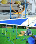 Portable Dog Agility Training Kit For Indoor And Outdoor Use With A 9 Ft Tunnel Weave Poles Hoop Jumps And Water Bowl Backyard Course