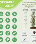 Outdoor Garden Trellis For Climbing Plants With Umbrella Top Round Obelisk 64 Inch Tall Rustproof PE Coated Metal Pipe Ideal Support for Plants