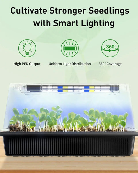 80 Cell Seed Starter Trays Kit With Adjustable Grow Light Bars And Full Spectrum LED 3 Point 5 Inch Humidity Domes in use