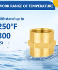 Ten Pack Brass Pipe Fittings Coupling Three Quarter Inch NPT Female To Three Quarter Inch NPT Female Connector