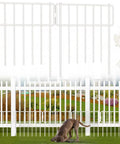 10 Pack Animal Barrier Fence No Dig Fence Decorative Fences 17 Inch High By 10 Foot Long Rustproof Metal Garden Border For Dogs And Rabbits Bottom Blocker For Outdoor Yard Patio White, shown installed in garden setting with dog.