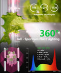 Vertical Indoor Hydroponic Tower Garden System With 30 Pods showing 360° full-spectrum lighting for leafy greens growth.