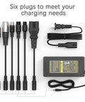 Universal 29.4V 2A Charger for 7S LiIon Batteries with six interchangeable plugs