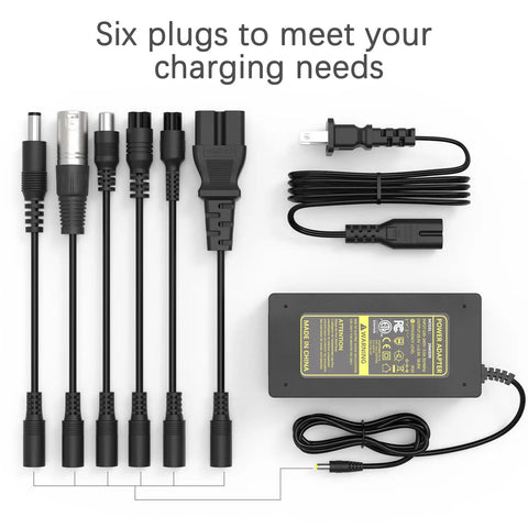 Universal 29.4V 2A Charger for 7S LiIon Batteries with six interchangeable plugs