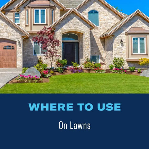 Front lawn of a house showcasing usage for Fungus Control For Lawns Ready To Spray 32 Oz Lawn Fungicide Protects Up To 5,000 Sq Ft From Diseases