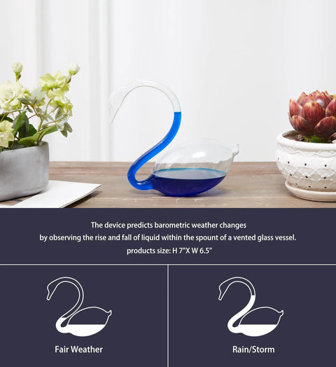 Elegant Swan Shaped Weather Predictor Barometer Weather Station 7 Inch Crystal Storm Glass on wooden table near plants