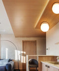 Modern Globe Wall Sconce 1 Light In Brushed Nickel, Diffused Opal Glass Shade, ceiling view in contemporary living room