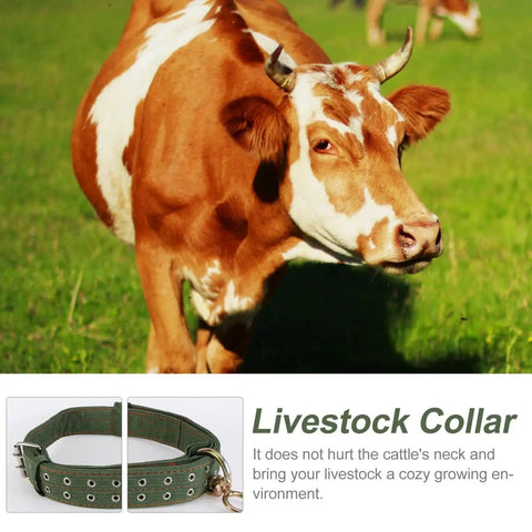 Adjustable Green Canvas Livestock Collar 3 Pack With Secure Locking Buckles For Cattle Calves Horses Sheep Padded Barn ready for use.