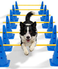 Dog jumping over Backyard Dog Agility Training Set With Height Adjustable Crossbar, 12 Detachable Poles And 6 Tall Cones