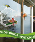 Epic Window Bird Feeder With Five Extra Strong Suction Cups For Outdoors attached to window with birds feeding outdoors