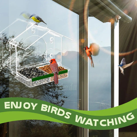 Epic Window Bird Feeder With Five Extra Strong Suction Cups For Outdoors attached to window with birds feeding outdoors