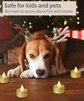 Dog with antlers near Battery Operated LED Tea Lights 24 Pack Gold Flameless Votive Tealights With Warm White Flickering Light Realistic Small Electric Candles For Wedding Table Decor Party Ready Festival Nights