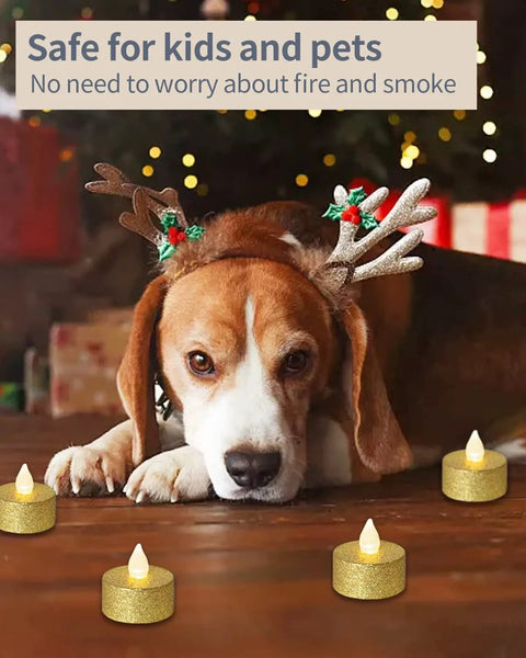Dog with antlers near Battery Operated LED Tea Lights 24 Pack Gold Flameless Votive Tealights With Warm White Flickering Light Realistic Small Electric Candles For Wedding Table Decor Party Ready Festival Nights