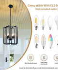 Dope Farmhouse Lantern Chandelier Black Light Fixture with four lights, E12 bulb compatibility shown, hanging in a room