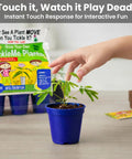 Deluxe Family Greenhouse Kit For Indoor Gardening Lovers Grow A Playful Touch Me Not Plant That Closes Its Leaves When Touched in blue pot
