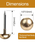Dimensions of Retro Solid Brass Cap Nails For Furniture Upholstery And Woodworking, 1 inch length and 1/2 inch head.