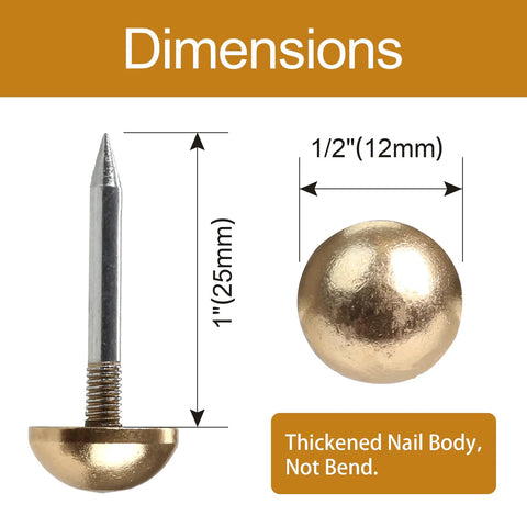 Dimensions of Retro Solid Brass Cap Nails For Furniture Upholstery And Woodworking, 1 inch length and 1/2 inch head.
