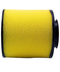 Air Filter Replacement For Honda Recon 250 ATV And Compatible TRX250TE TRX250TM Sportrax TRX250EX TRX250X 17254-HM8-000 OEM Part