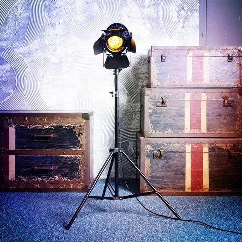 Vintage Industrial Black Gooseneck Tripod Floor Lamp Set Of 2 Adjustable Height 68 to 180cm 5m Cord Lighting in decor setup